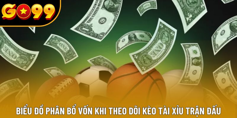 Biểu đồ phân bổ vốn khi theo dõi kèo tài xỉu trận đấu Biểu đồ phân bổ vốn khi theo dõi kèo tài xỉu trận đấu