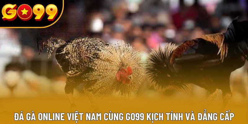 Đá Gà Online Việt Nam Cùng Go99 Kịch Tính Và Đẳng Cấp