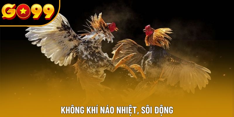 Không khí náo nhiệt, sôi động