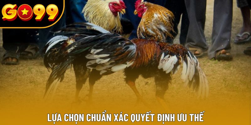 Lựa chọn chuẩn xác quyết định ưu thế Lựa chọn chuẩn xác quyết định ưu thế