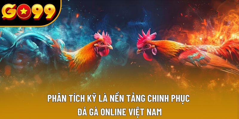 Phân tích kỹ là nền tảng chinh phục đá gà online Việt Nam Phân tích kỹ là nền tảng chinh phục đá gà online Việt Nam