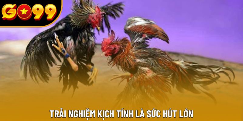 Trải nghiệm kịch tính là sức hút lớn Trải nghiệm kịch tính là sức hút lớn